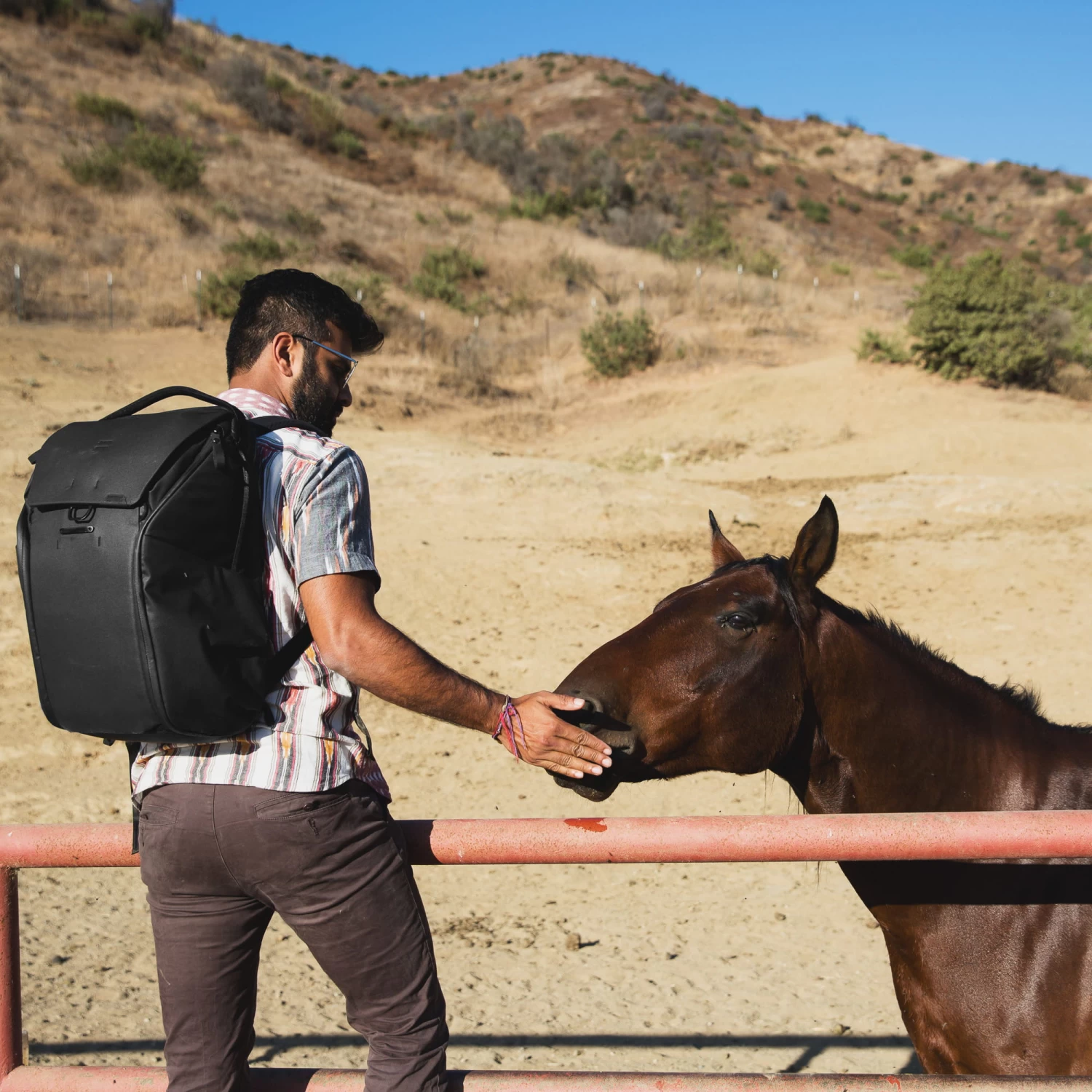 Peak Design Everyday Backpack V2 Foto-Rucksack 30 Liter - Black (Schwarz) – Bild 5